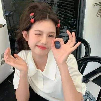 澳门2023全年免费资料大全下载手机版